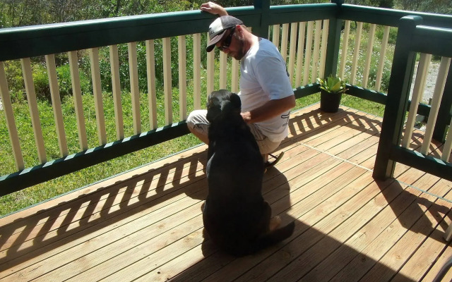 Elliston Waterloo Bay Tourist Park