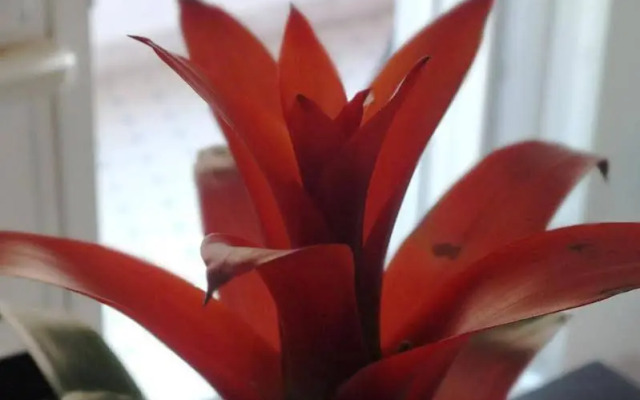 Romantic Holiday Rome B&B