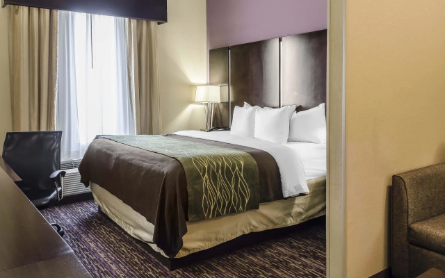 Comfort Inn & Suites Dothan East