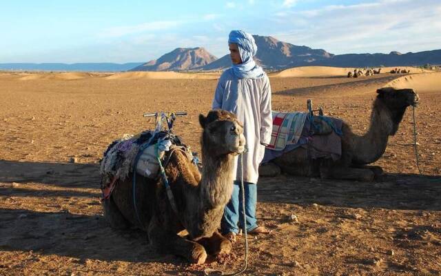 Bivouac Sahara Relax