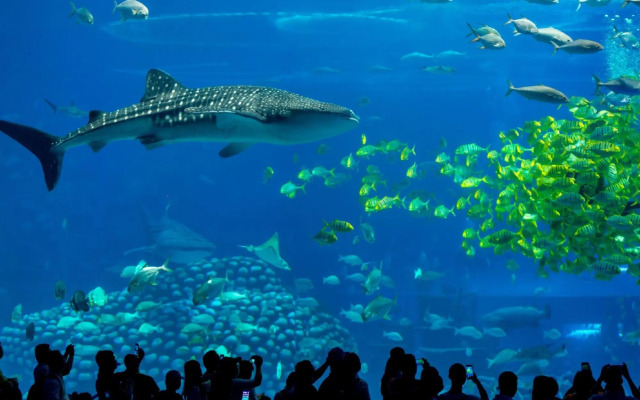 Chimelong Ying Hai Hotel and Apartment (Zhuhai Ocean Kingdom Branch)