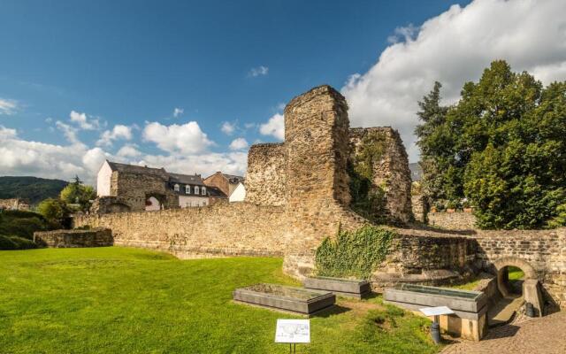 Rhein-Suites Boppard