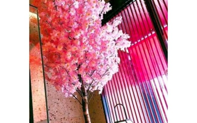 Sakura Sky Hotel - Vacation STAY 18442v