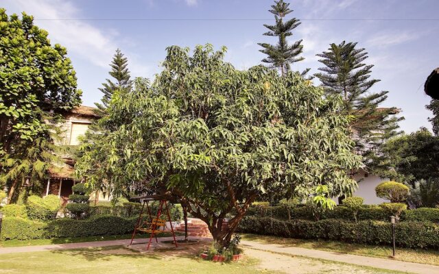 Wood castle Spa & Resort