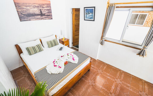 Evolution Dive and Beach Resort