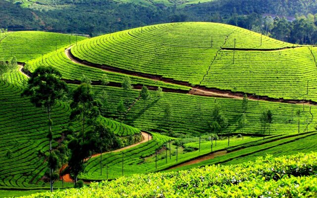 Namasthe Munnar