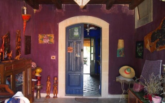 Agrib&B Lemontree GardeN