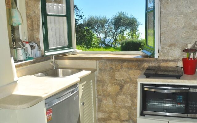 House Lemoni - Studio