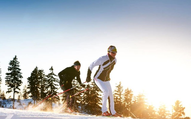 Almhotel Pinter ***Superior