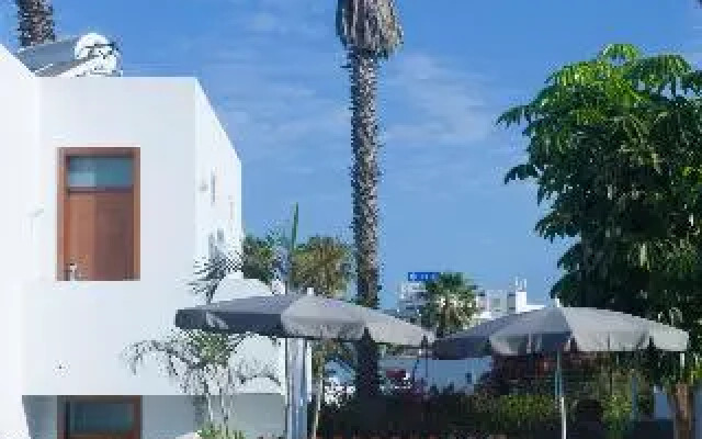 Coral Dreams Time To Smile