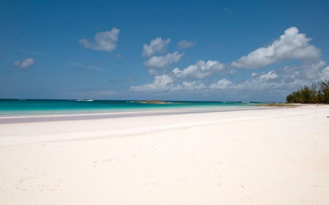 French Leave South Beach Compound