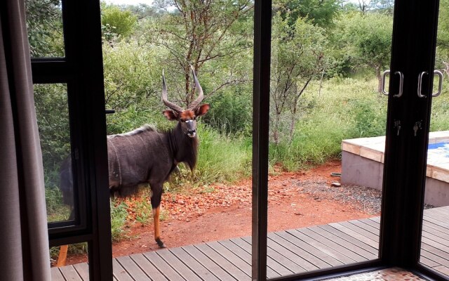 Villa Bushman Wonderful Luxury and Attractive Villa