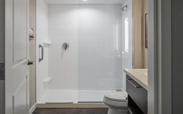 TownePlace Suites by Marriott Tampa South