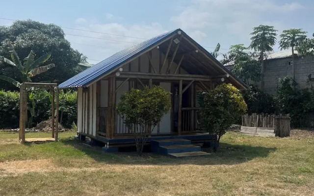 Tree of Life - Hostel