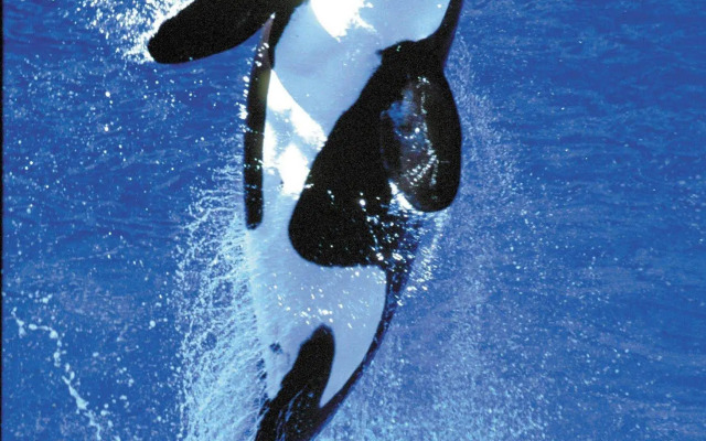 Holiday Inn San Antonio Northwest - SeaWorld Area