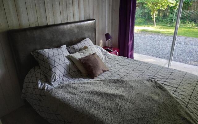 Les Agapanthes du frontonnais