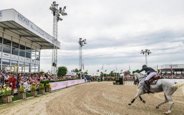 Suite 133 hotel studio