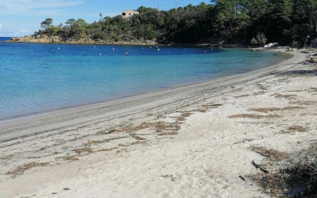 Résidence Playa Del Oro 31