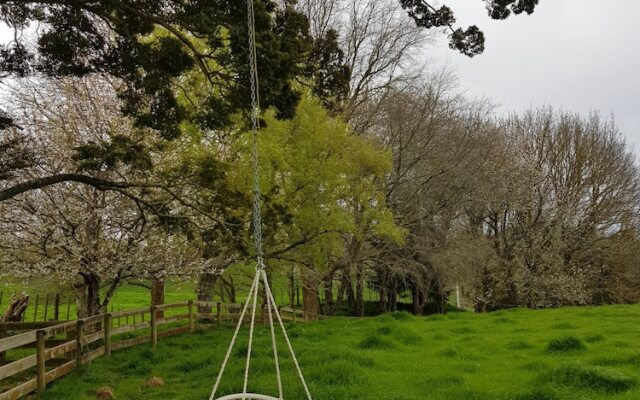 Rotorua Hillside Haven