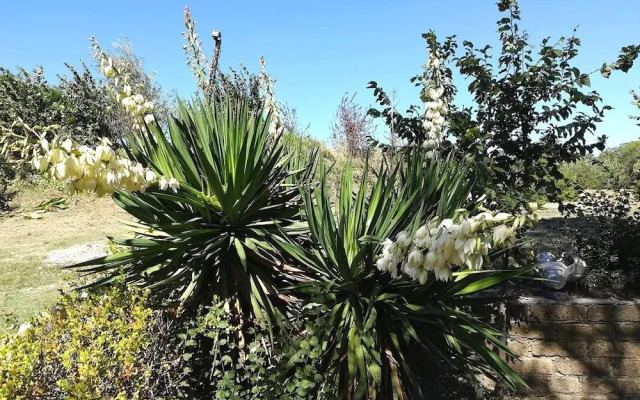 Agriturismo Colle al Sole