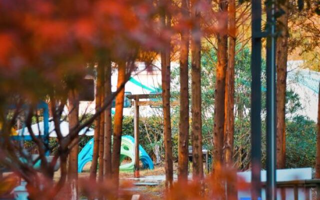 Sunarea Family Camp