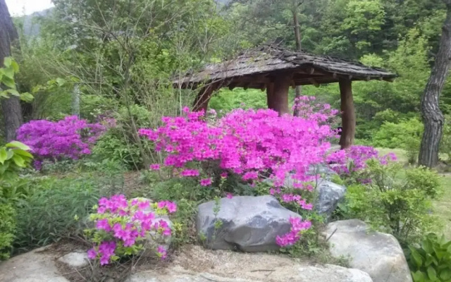 Danyang Eowoolim Pension
