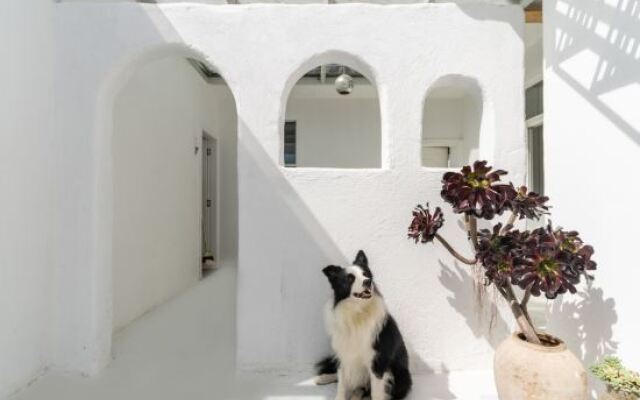 Dali Abu Inn