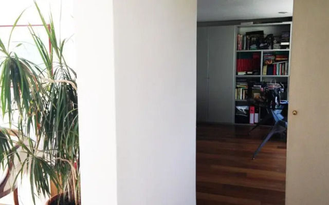 Purple Home Penthouse