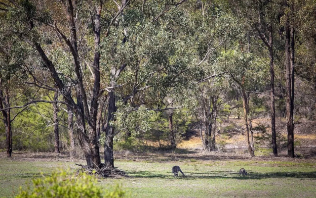 Wattle-Wilde Cottage