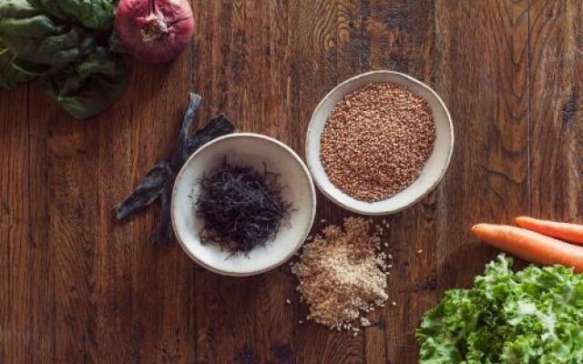 MasQi, The Energy House