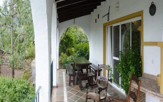 OLIVO Finca La Raja