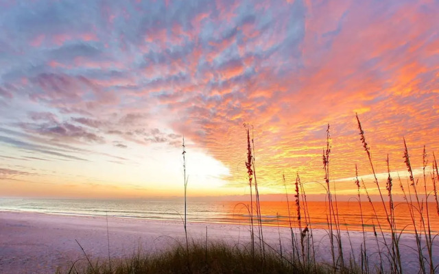 Gulf Holiday