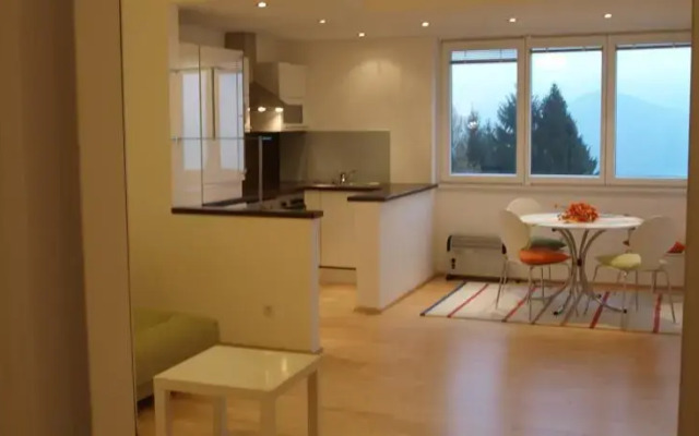 Lake View Apartment