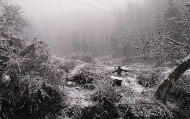 ADB Rooms Hotel Devine Point, Shimla