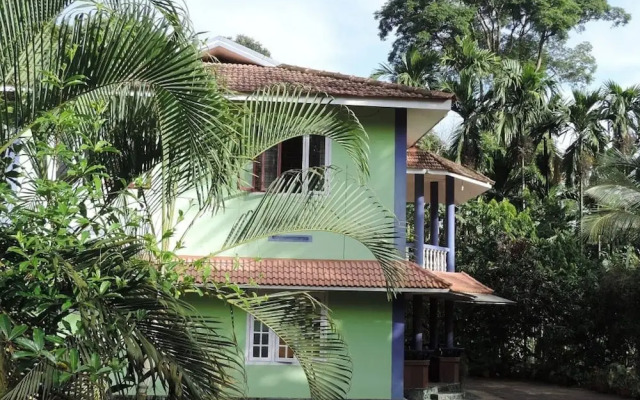 Room-wayanad Stay the Pepper Suite