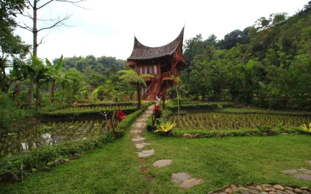 Padi Ecolodge