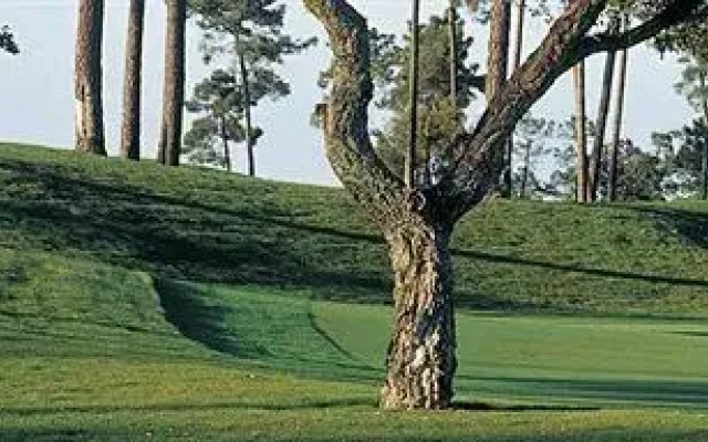 Arrabida Resort & Golf