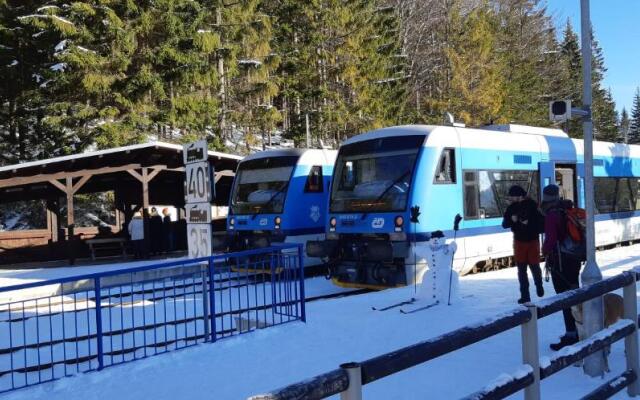 Harrachov Resident Apartments with Terrace