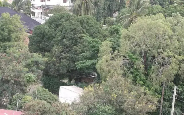 Wanyama Hotel