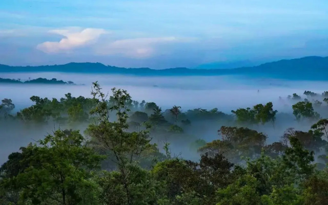 Jade Hills Coorg