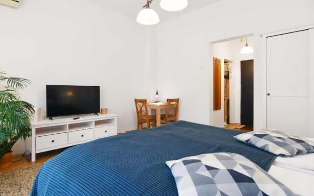 Downtown Studio - Cismigiu Park