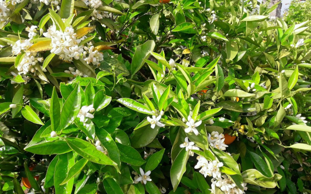 Casa rural la Estrella