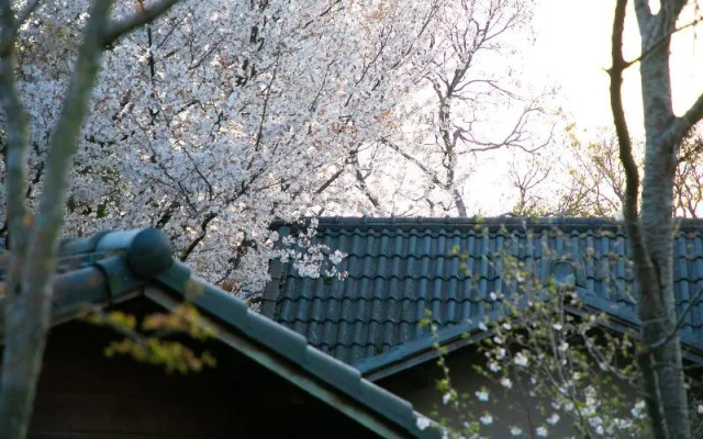 Yufuin Ryokan Ichizen