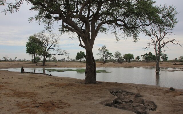 Miombo Safari Camp