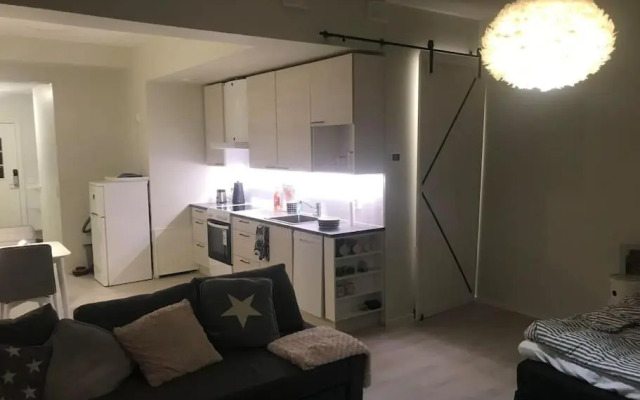 Valoisa avara yksiö loistavalla sijannilla