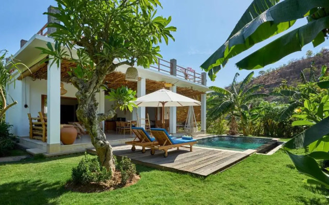 Pazzo Bali