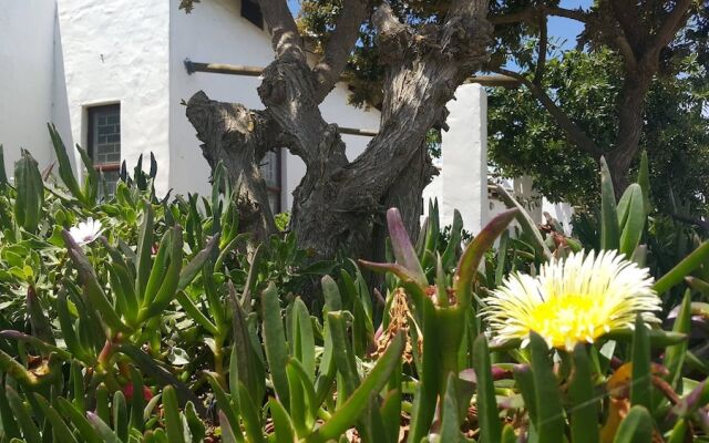 Artists Retreat B And B Self Catering