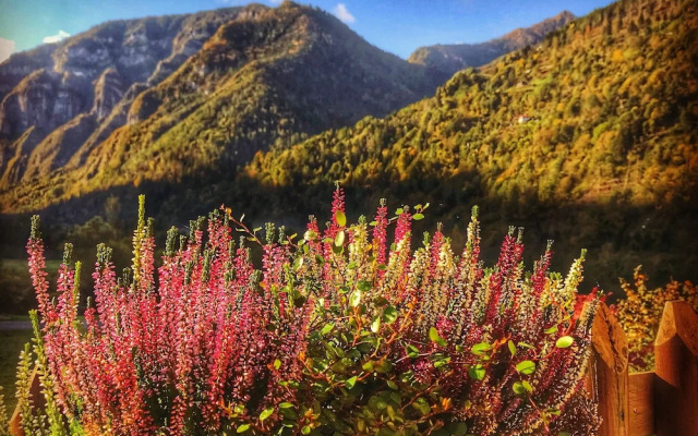 Eco-Baita Natura Spensierata