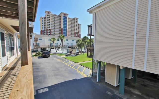 Sand Dollar by Youngs Suncoast