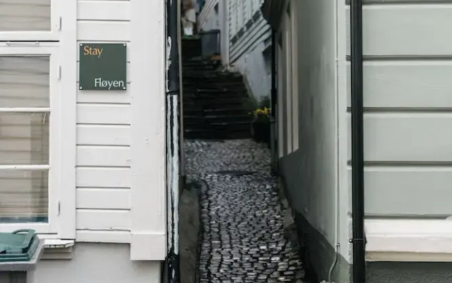 Stay Fløyen